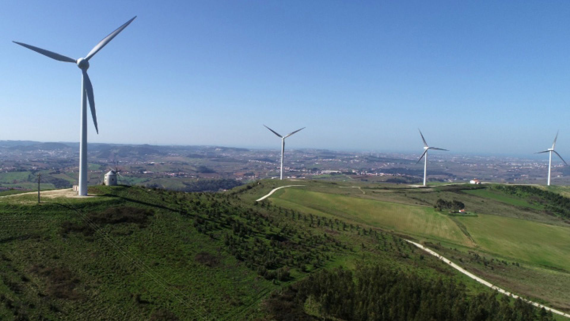 Torres Vedras continua entre os destinos mais sustentáveis do Mundo