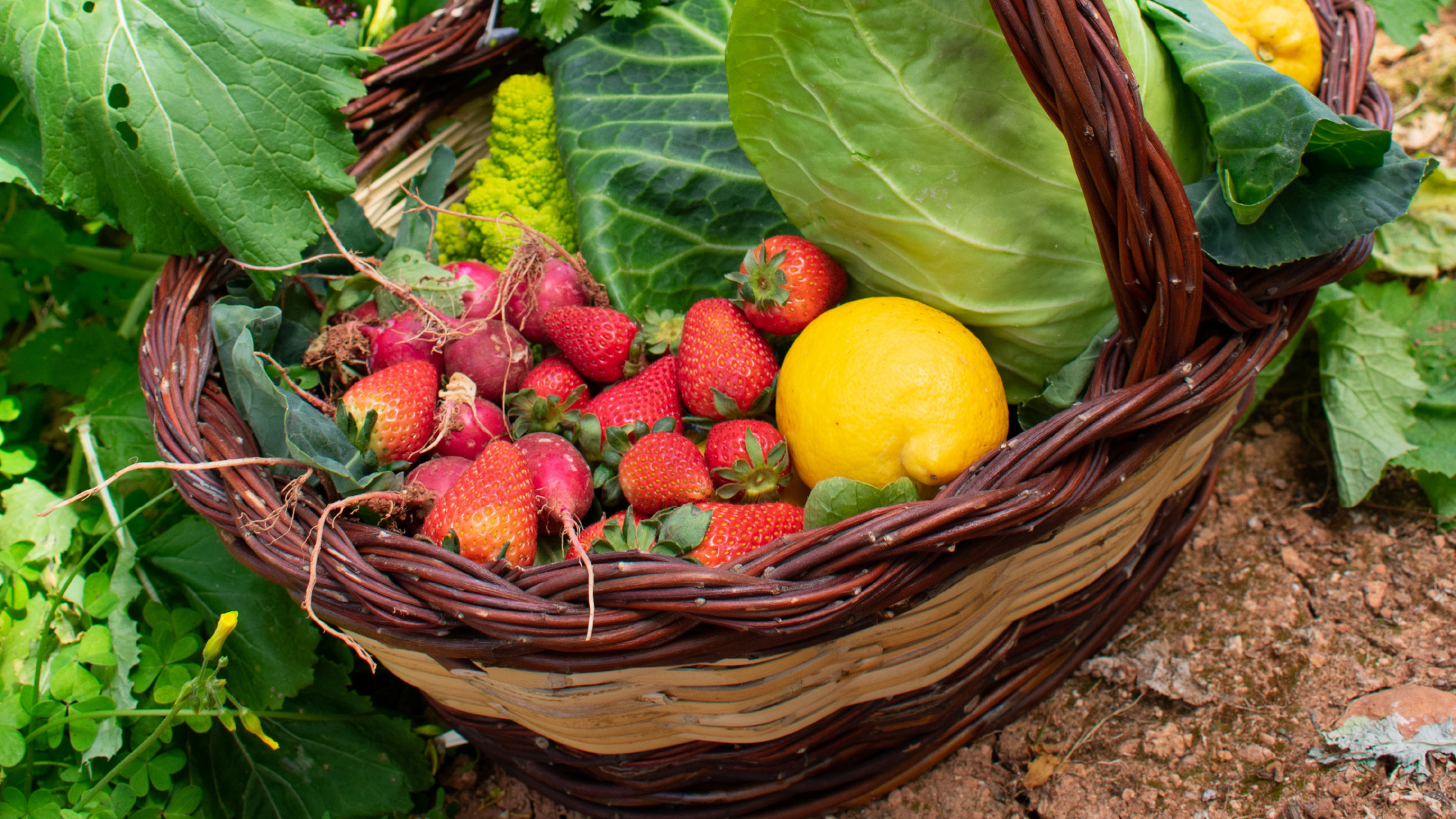 Dia Mundial da Alimentação no Mercado de Produtores de Almancil