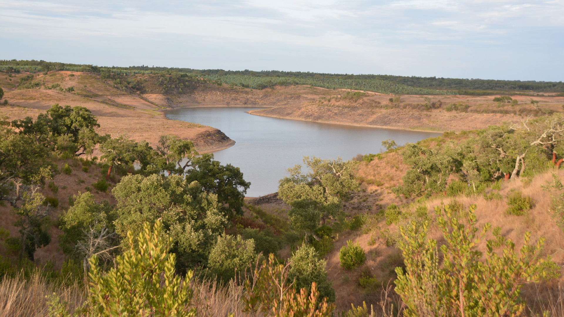 Barragem de Campilhas