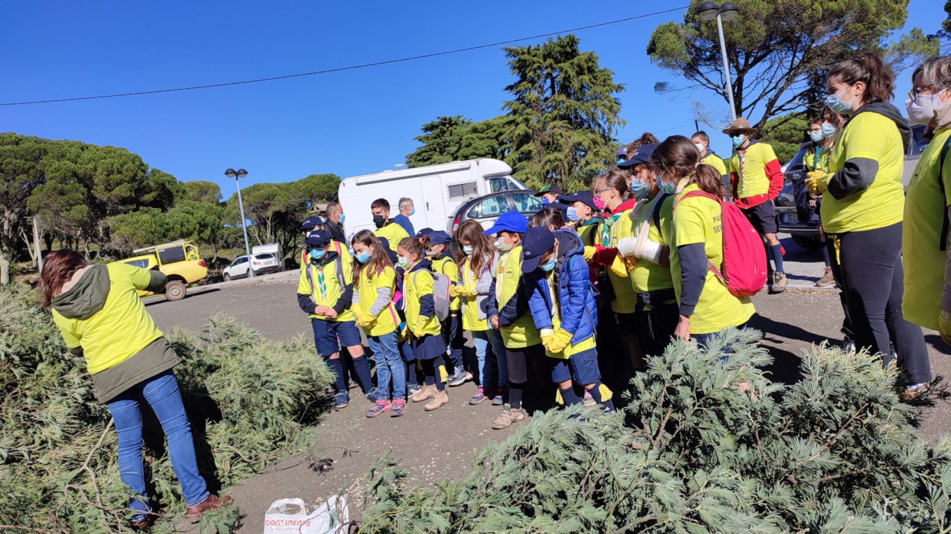 Ação de controlo de plantas invasoras juntou cerca de 30 voluntários, em Montejunto