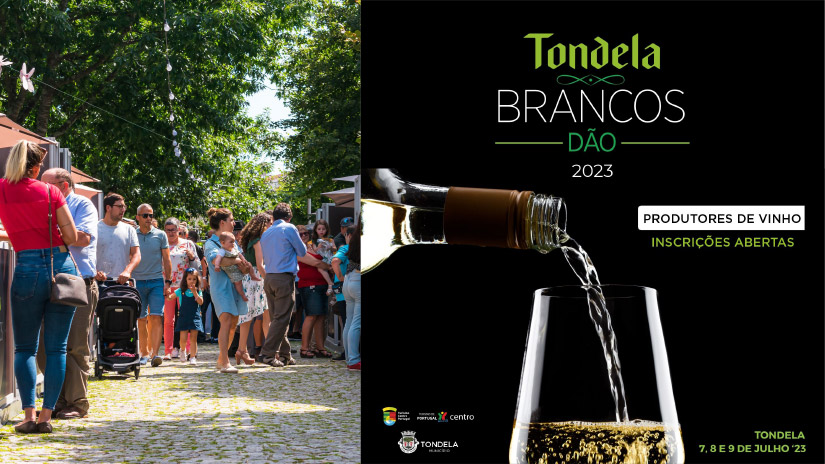 Tondela Brancos: A Celebração dos Vinhos da Região está de Regresso