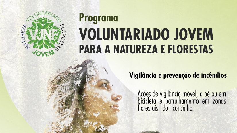 Programa de Voluntariado Jovem de Águeda Abre Inscrições para Proteção Florestal