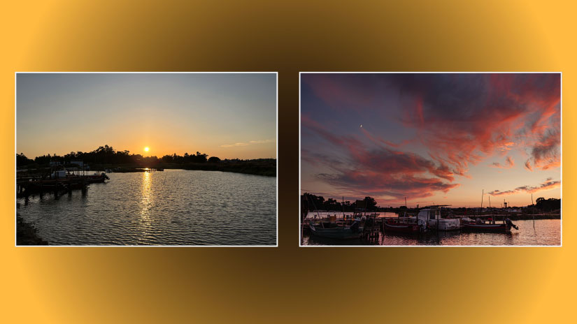 "Há Noite na Mourisca" Revela Talentos Fotográficos Inspirados pela Natureza