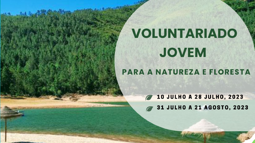 Programas de Voluntariado Jovem incentivam proteção ambiental em Vila de Rei