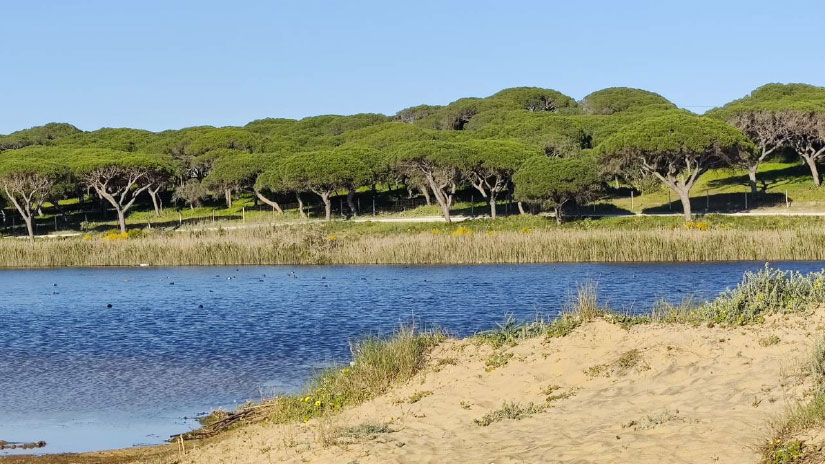 Loulé promove biodiversidade através do passatempo "Conhece e Protege"