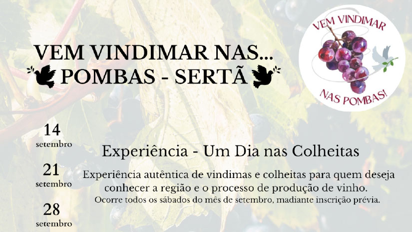 Setembro traz experiências autênticas de vindimas à Sertã