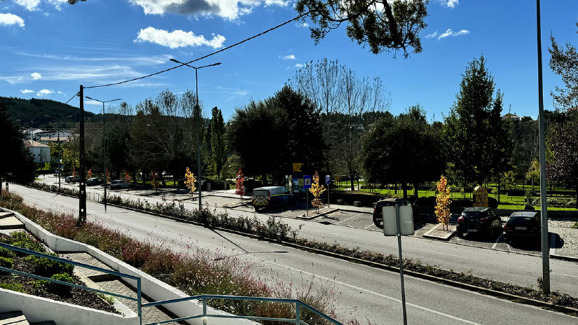 Replantação arbórea na Sertã promove sustentabilidade ambiental