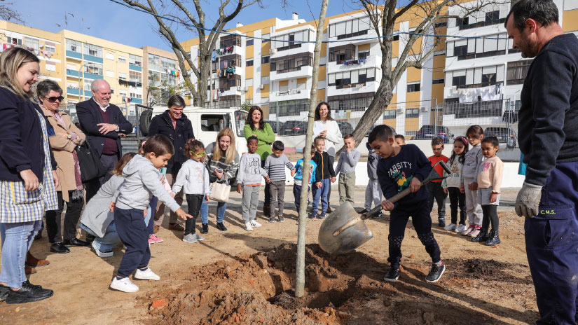 Escola de Setúbal une comunidade em ação de reflorestação